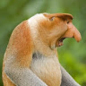 Meet your Posher, Harry